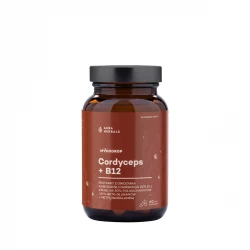 Import produktów XML malowia.pl